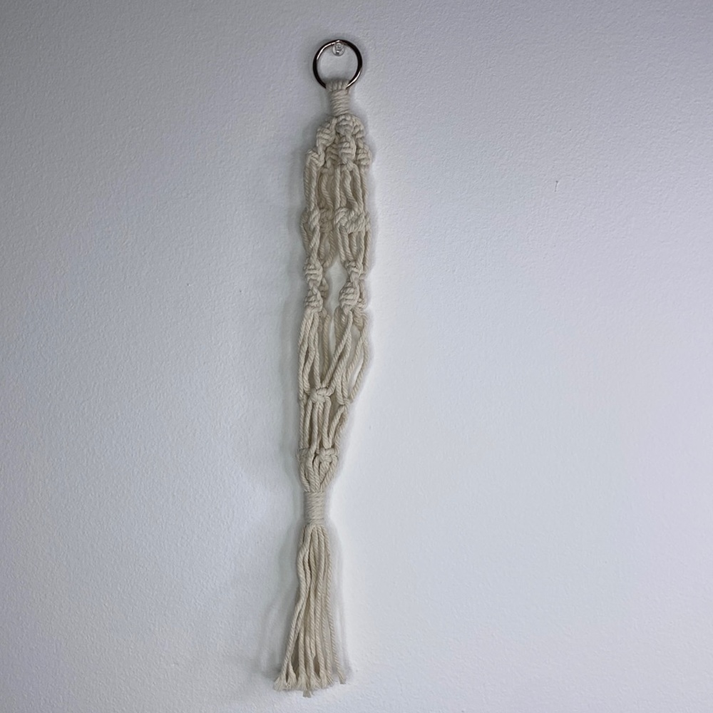🩷🩵Tamed Wild Macrame Plant Holder